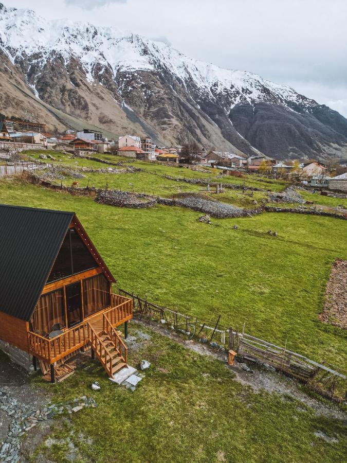 Eco Cottage Kazbegi 外观 照片